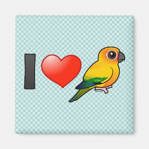 I Love Sun Conures Magnet