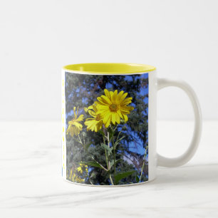 I LOVE SUNFLOWERS MUG PICS x2