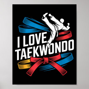 I Love Taekwondo Colourful Belt Fighter Poster