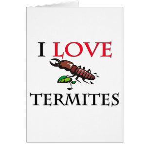 I Love Termites