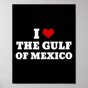 I Love The Gulf Of Mexico Usa Funny Meme Long Slee Poster