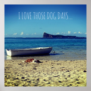 I love those Dog Days... Poster