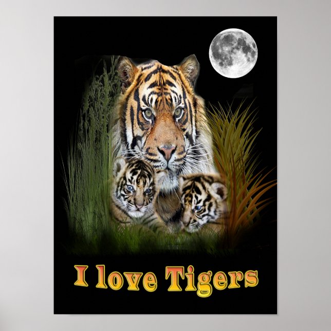I love Tigers Poster (Front)