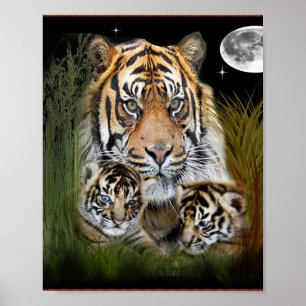 I love Tigers Poster