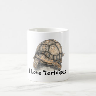 I Love Tortoises mug