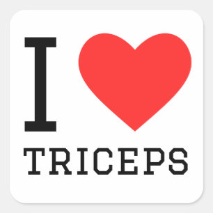 I love triceps square sticker