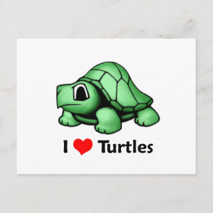 I love Turtles Postcard