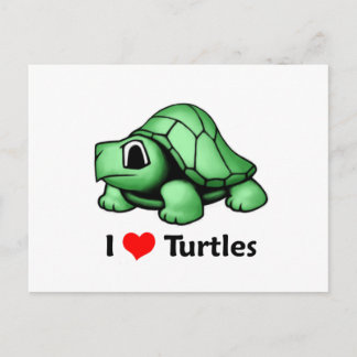 I love Turtles Postcard