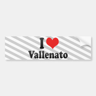 I Love Vallenato Bumper Sticker