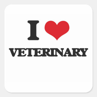 I love Veterinary Square Sticker