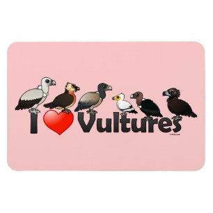I Love Vultures (Eurasia) Magnet