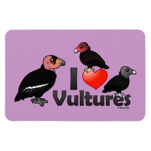 I Love Vultures (North America) Magnet