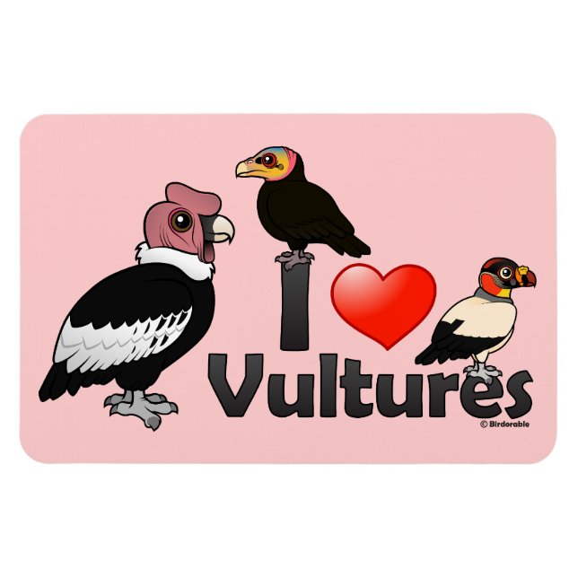 I Love Vultures (South America) Magnet (Horizontal)