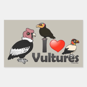 I Love Vultures (South America) Rectangular Sticker