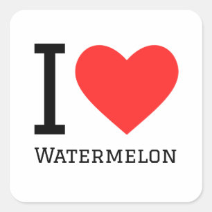 I love watermelon square sticker