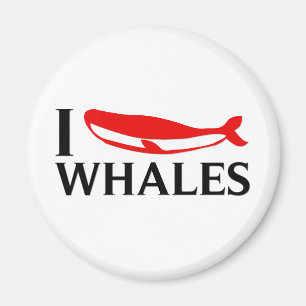 I Love Whales Magnet
