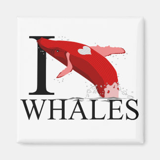 I Love Whales Magnets