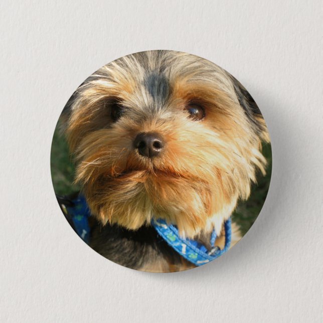 I Love Yorkies 6 Cm Round Badge (Front)