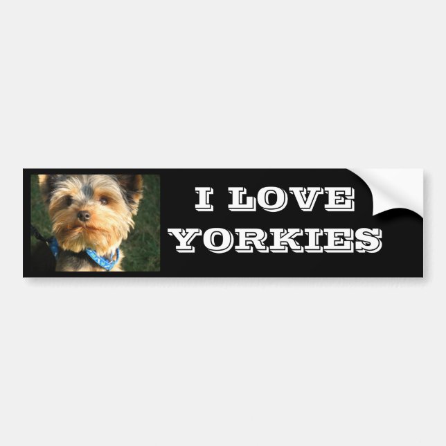 I Love Yorkies Bumper Sticker (Front)