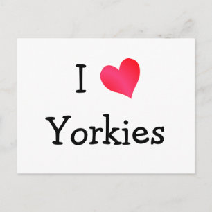 I Love Yorkies Postcard