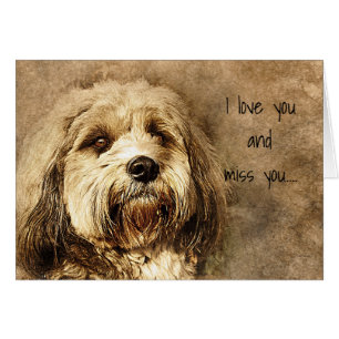 I love you and I miss you Sad Dog