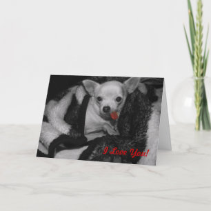 I Love You! Card