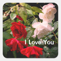 I Love You Drenched Roses Floral