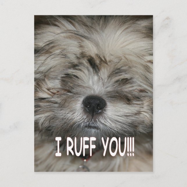 I love you I ruff you shih tzu dog puppy Postcard (Front)
