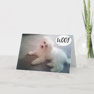 **I LOVE YOU** IN EVERY WAY LOVE CARD