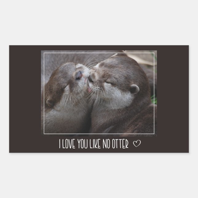 I Love You Like No Otter Cute Photo Rectangular Sticker (Front)