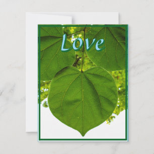 I love you like the sun Leaf Flat Holiday Card