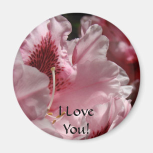 I Love You! Magent gits Pink Rhododendron Rhodies Magnet