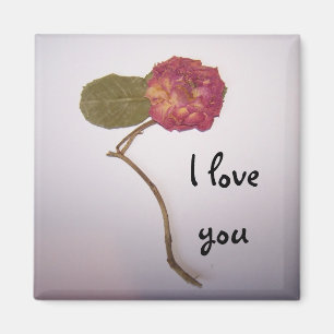 I love you Magnet