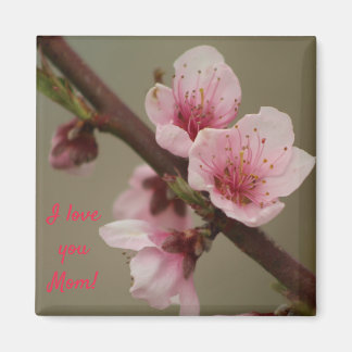 I love you Mum! pink blossom magnet