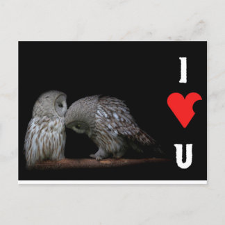 I love you post card