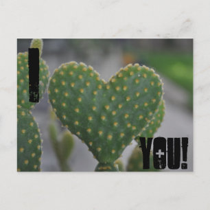 I love you! postcard