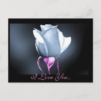 I Love You.. Postcard