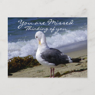 I love You_ Postcard