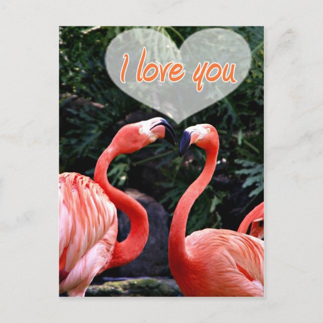 I Love You_ Postcard (Front)