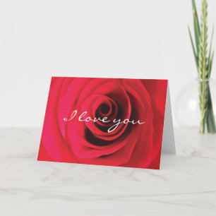 I love you red rose valentine's card