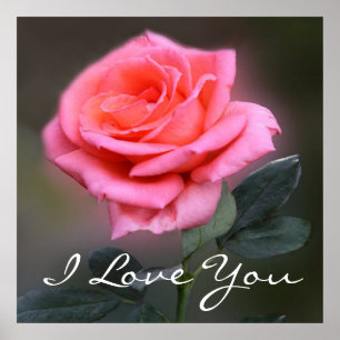 I love you rose poster