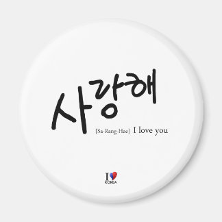 I Love You[Sa-Rang-Hae] Magnet