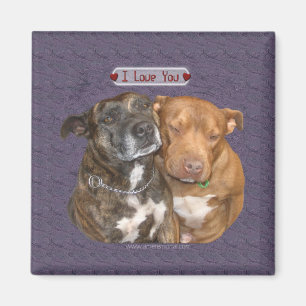 I Love You Snuggling Staffys Magnet