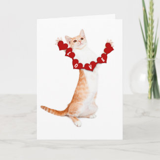 I Love You This Much card with kitten