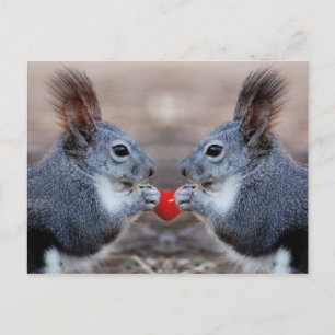 I Love You Too Postcard
