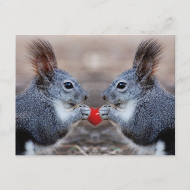 I Love You Too Postcard (Front)