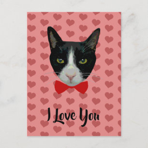 I Love You - Tuxedo Cat with Bow Tie Postcard