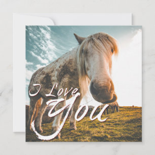 I love you with looking Horse