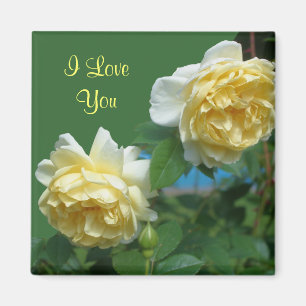 I Love You Yellow Roses Flower Photo Magnet