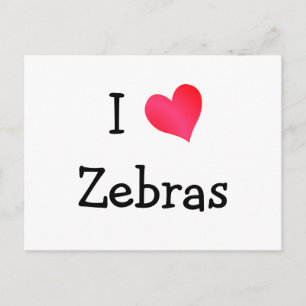 I Love Zebras Postcard